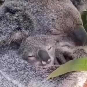 Meet your Posher, Adriana